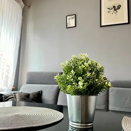 Mieszkanie W Centrum Miasta 37