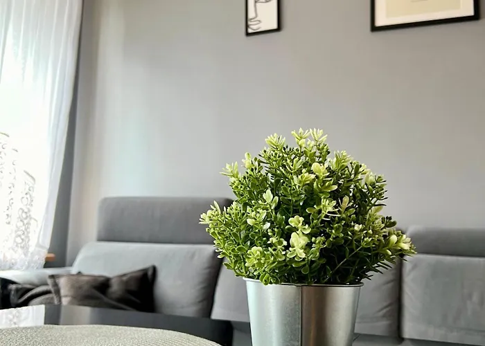 Mieszkanie W Centrum Miasta 37